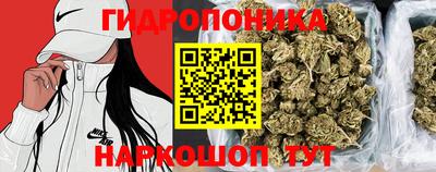соль ск Ипатово