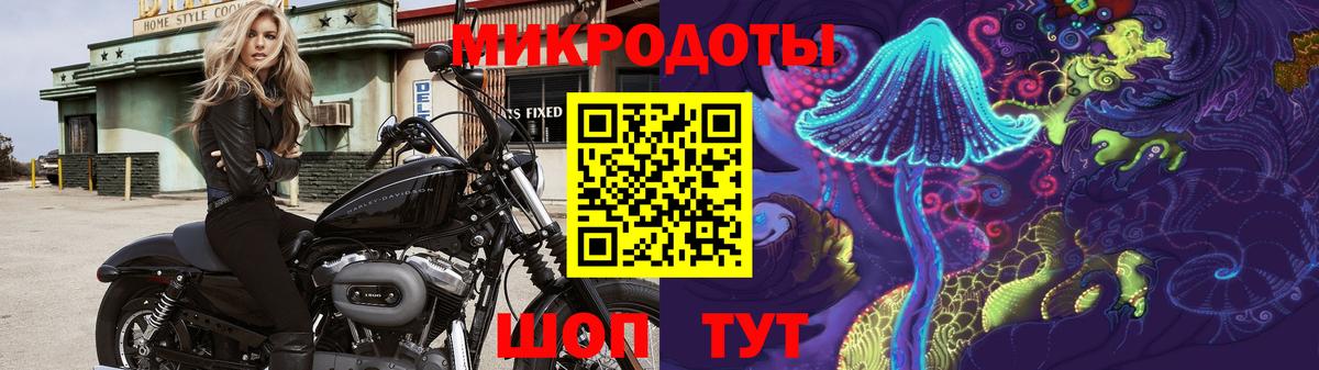 Псилоцибиновые грибы прущие грибы  Вход с VPN  Кушва  где продают   Псилоцибиновые грибы GOLDEN TEACHER 